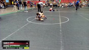 56 lbs Placement (4 Team) - Charlie Leroy, Armory vs Dominic Golembiewski, Donahue WA