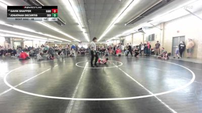 48 lbs Quarterfinal - Gavin Shaffer, Hamburg vs Jonathan Decurtis, Endicott