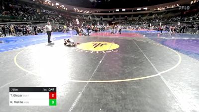 75 lbs Quarterfinal - Tyler Gieger, Buxton (NJ) vs Kyle Melillo, Highlanders