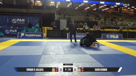 David Krimus vs Enrique D. Galarza 2025 Pan Jiu Jitsu IBJJF Championship