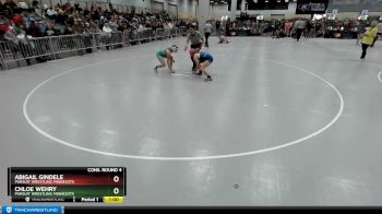 110 lbs Cons. Round 4 - Abigail Gindele, Pursuit Wrestling Minnesota vs Chloe Wehry, Pursuit Wrestling Minnesota