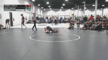 109 lbs Rr Rnd 6 - Dominic Lorello, The Barn - BHSE vs Mikey Demaine, Triple T Elite - BHSE