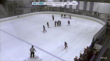 Replay: Home - 2024 Sound Tigers U12 vs Bandits 12U (G) | Feb 3 @ 3 PM