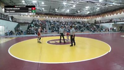 138 lbs Quarterfinal - Tel Parry, Star Valley vs Colton Marler, Evanston