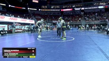 3A-215 lbs Cons. Round 3 - Tate Woodruff, Dubuque Hempstead vs Ronan Numkena, Bettendorf