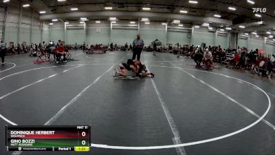 105 lbs Quarterfinal - Gino Bozzi, Matt Assasians vs Dominique Herbert, Wolfpack