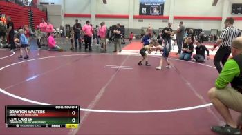 45 lbs Cons. Round 4 - Levi Carter, Tennessee Valley Wrestling vs Braxton Walters, Arab Youth Wrestling