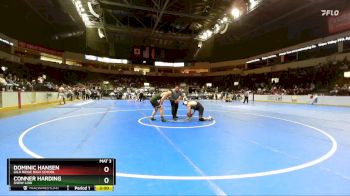 165 lbs Champ. Round 1 - Dominic Hansen, Gila Ridge High School vs Conner Harding, Show Low