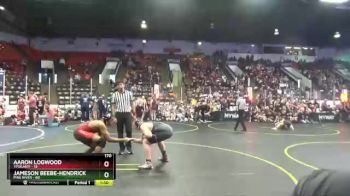 170 lbs Quarterfinals (8 Team) - Aaron Logwood, Ypsilanti vs Jameson Beebe-Hendrickson, Pine River