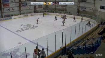 Replay: Home - 2025 Bruins U18 AAA vs Cougars U18 AAA | Feb 16 @ 1 PM