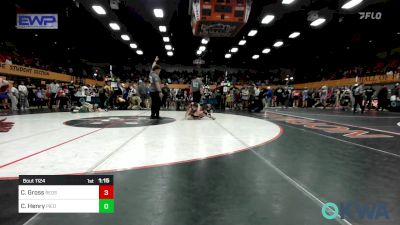 67 lbs Quarterfinal - Christopher Gross, Redskins Wrestling Club vs Cannon Henry, Piedmont