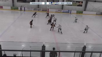 Replay: Home - 2024 Ice White U15 vs Storm | Dec 14 @ 4 PM