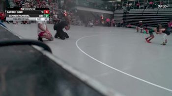 43-47 lbs Quarterfinal - Zander Hannibal, Dwight Wrestling Club vs Carson Hale, Longwood