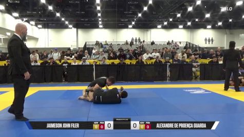 Alexandre De Proença Guarda vs James Vinston Nival 2025 World IBJJF Jiu-Jitsu No-Gi Championship