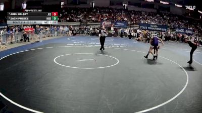 D 3 138 lbs Semifinal - Abel Halsey, John Curtis Christian vs Zach Preece, Rosepine