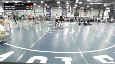 80 lbs Rr Rnd 1 - Dane Witmer, TNWC Black vs Chet Nelson, 84 Athletes