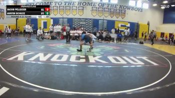 138 lbs Round 6 (8 Team) - Jacob Pellecer, Wellington vs Austin Schiltz, Naperville Central