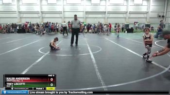 48 lbs Round 5 (8 Team) - Kaleb Anderson, Wrestling Mill vs Trey Liscotti, Silo