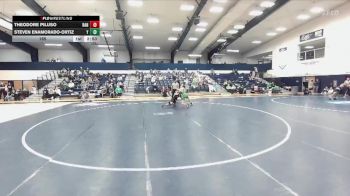 165 lbs Finals (2 Team) - Steven Enamorado-Ortiz, York vs Theodore Piluso, Randolph