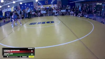 157 lbs Round 4 (8 Team) - David Liao, VHWC vs Stefan Behrmann, Avalon WV