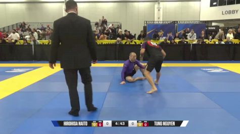 Tung Nguyen vs Hirohisa Naito 2024 World IBJJF Jiu-Jitsu No-Gi Championship