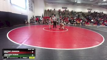 120 lbs Cons. Round 2 - Destiny Johnson, Palmer vs Addyson Duran, Severance