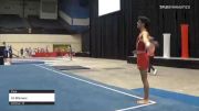 Ali Bhimani - Floor - 2021 USA Gymnastics Development Program National Championships