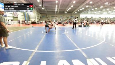 126 lbs Rr Rnd 1 - Colton Gillespie, University Hawks Wrestling Club vs Nate Gomes, Estebuilt WC