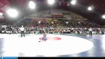 4A 113 lbs Cons. Round 1 - Tucker Arthur, Minico vs Jett Mechling, Pocatello
