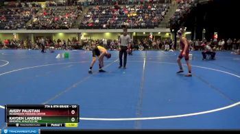 120 lbs Quarterfinal - Avery Paustian, McDominate Training Center vs Kayden Landers, Immortal Athletics WC