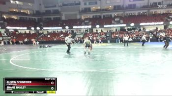 98 lbs Cons. Round 4 - Shane Bayley, Borah vs Austin Schneider, Centennial