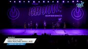 Peach State All Stars - Mini Peaches Small Jazz [2024 Mini - Jazz - Small Day 2] 2024 GROOVE Dance Grand Nationals