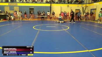 187 lbs Round 1 - Gavin Mitchell, Bobcat Wrestling Club vs Brady Mendez, Cougar Wrestling Club