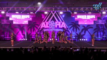 The Hive Cheer - Wicked Wasps [2025 L3 Junior - D2 - Medium Day 2] 2025 Aloha Grand Nationals