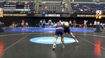 165 lbs Prelim - Dylan Cariveau, Wis.-Stevens Point vs Peyton Brooks, Albion