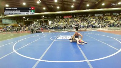 175 lbs Semifinal - Landyn Reiser, Tri-Valley vs Jeremiah Wilgers, Tea Area Titans