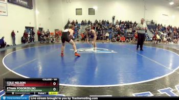 141 lbs Champ. Round 2 - Ethan Pogorzelski, University Of Wisconsin-Whitewater vs Cole Nelson, Carthage College