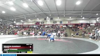 149 lbs Cons. Round 3 - Brandon Seawright, Limestone vs Junior Downing, Lander