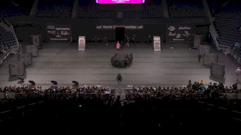 Vox Artium "San Diego CA" at 2025 WGI Guard World Championships