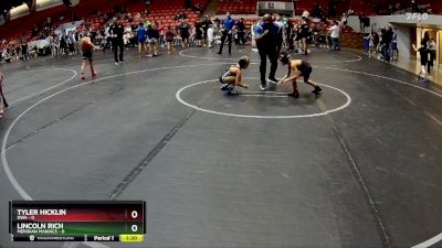 48 lbs Finals (2 Team) - Tyler Hicklin, DWA vs Lincoln Rich, Meridian Maniacs