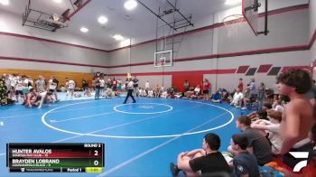 125 lbs Round 2 (6 Team) - Brayden Lobrano, Louisianimals Black vs Hunter Avalos, Spartan Mat Club