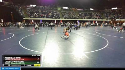 86 lbs Quarterfinal - Lincoln Whitcome, Waverly Area Wrestling Club vs Aiden Bachman, Powerhouse Wrestling Club