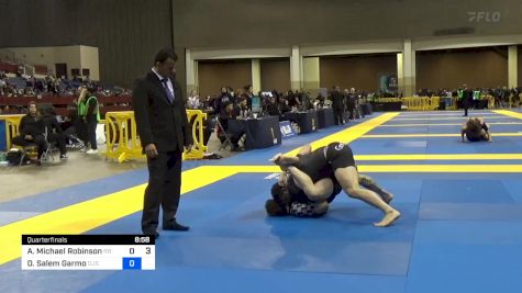 Anthony Michael Robinson vs David Salem Garmo 2024 Pan IBJJF Jiu-Jitsu No-Gi Championship