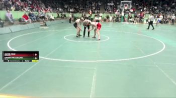 165 lbs Champ. Round 1 - Kayden McClellan, Milan vs Jacob Cole, Rossville