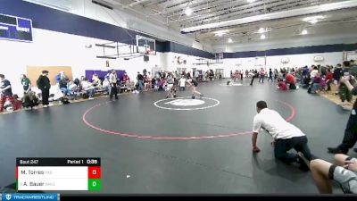 106 lbs Cons. Round 3 - Adam Bauer, Walla Walla vs Michael Torres, Pasco