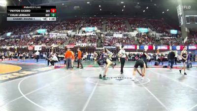 AA - 175 lbs Champ. Round 1 - Colin Lerback, Missoula Sentinel vs Payton Cicero, Billings West