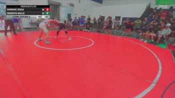 138 lbs Cons. Round 6 - Breidyn Ralls, Canyon View vs Dominic Rosa, Dark Horse