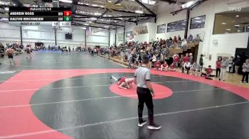 157 lbs Prelim - Dalton Birchmeier, Cornerstone vs Andrew Ross, Wabash