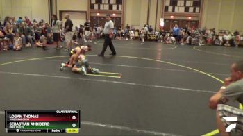 65 lbs Quarterfinal - Sebastian Andidero, Deep Roots vs Logan Thomas, Wrecking Crew