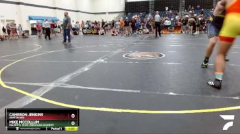 220 lbs Champ. Round 1 - Cameron Jenkins, Unattached vs Mike McCollum, PALMETTO STATE WRESTLING ACADEMY